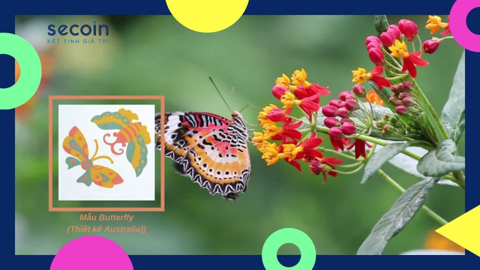 Bộ sưu tập gạch bông cho bé yêu buttefly