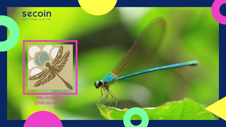 Bộ sưu tập gạch bông dành cho bé yêu Dragonfly