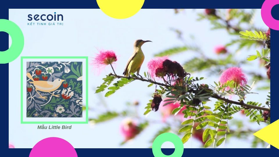 Bộ sưu tập gạch bông dành cho bé yêu Brid