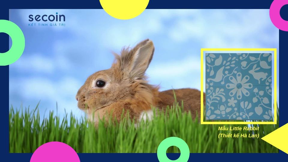 Bộ sưu tập gạch bông dành cho bé yêu Rabbit