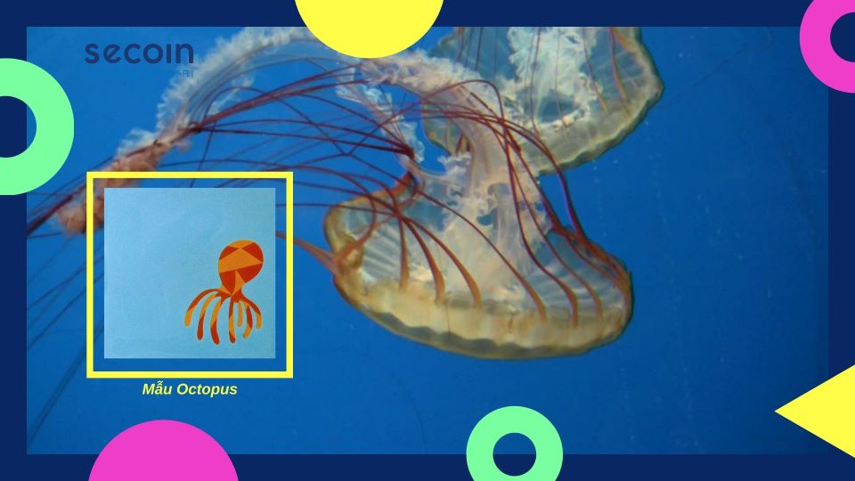 Bộ sưu tập gạch bông dành cho bé yêu ctopus