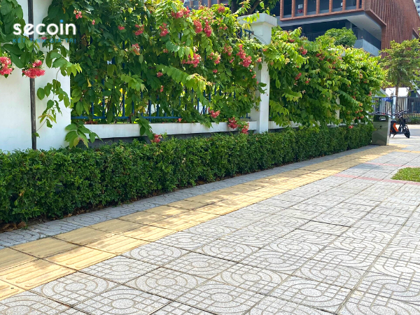 Xu hướng ốp gạch sân nhà từ - Vua gạch ngoài trời - Terrazzo đa màu