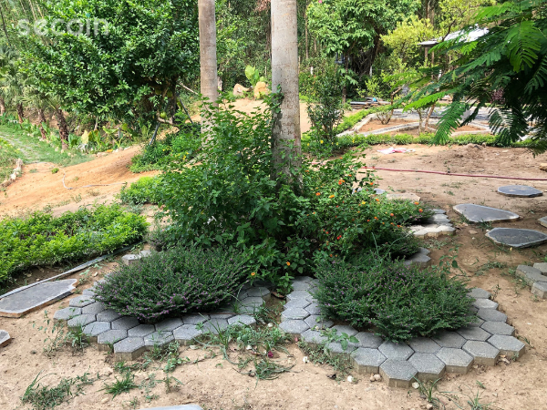 Home corner: Creating a living space for a happy home