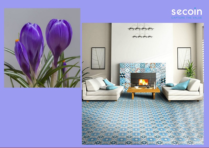 Gạch bông Secoin xinh xắn giữa phòng khách