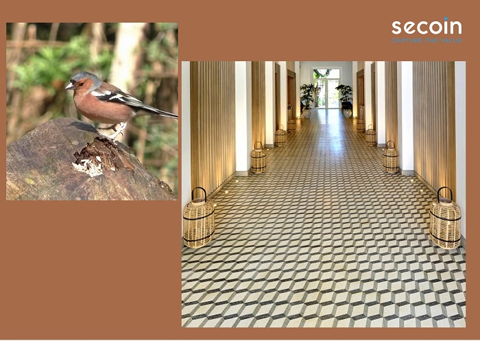 Gạch bông Terrazzo Secoin TA660 sang trọng