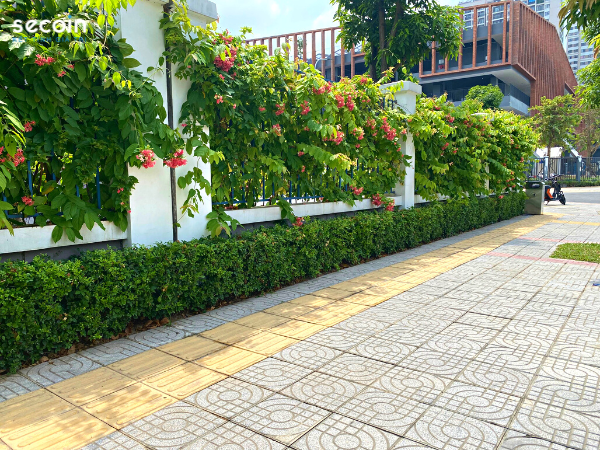 Gạch Terrazzo ngoài trời Secoin tại VinSchool trong Khu đô thị Vinhomes OceanPark, Gia Lâm, Hà Nội
