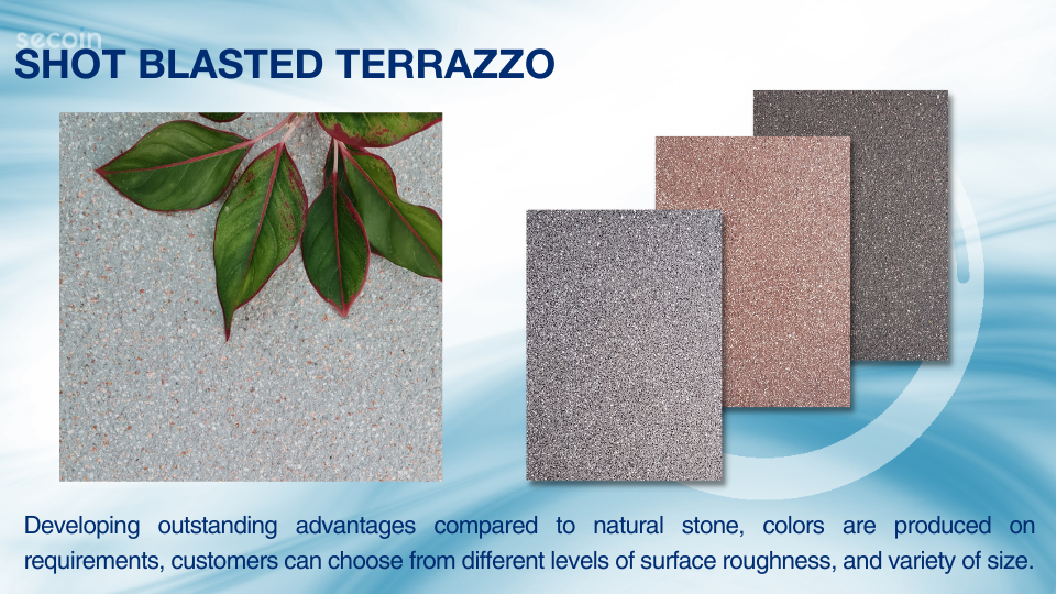 Overcoming-covid-Secoin-returns-4